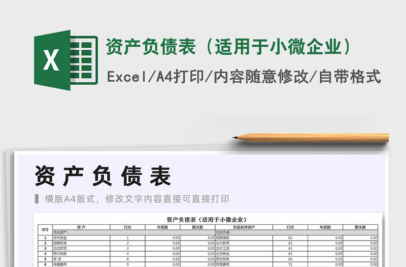 2021年资产负债表（适用于小微企业）