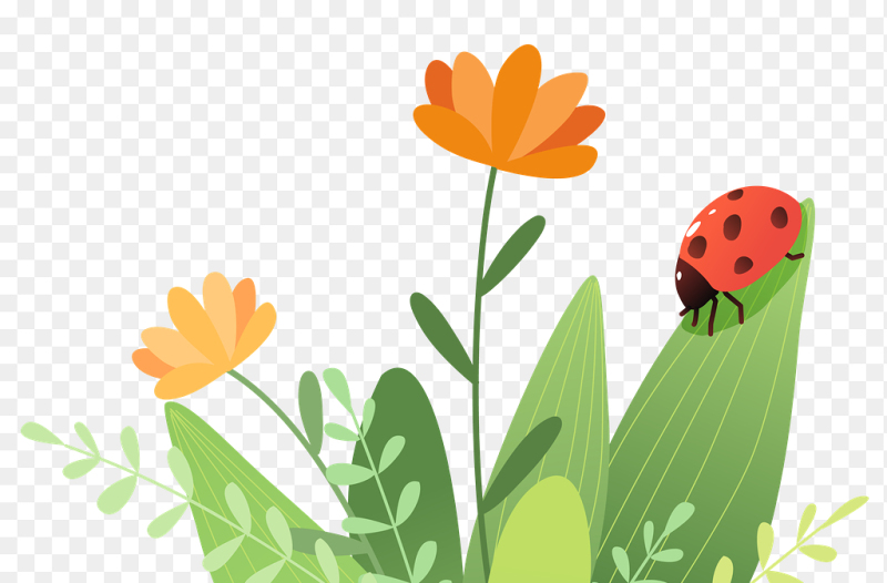 春天春季花草草丛七星瓢虫小动物装饰元素免抠元素素材