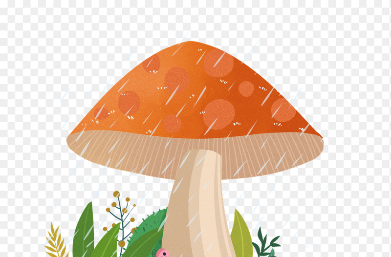 插画风蘑菇植物绿植蝴蝶中国传统二十四节气惊蛰时节主题素材免抠元素