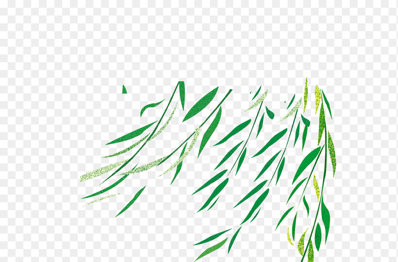 边角边框绿色清新柳树春天春季免抠元素素材