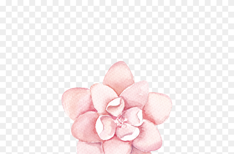 淡粉色水墨风手绘玫瑰花38妇女节三八妇女节女神节免抠元素素材