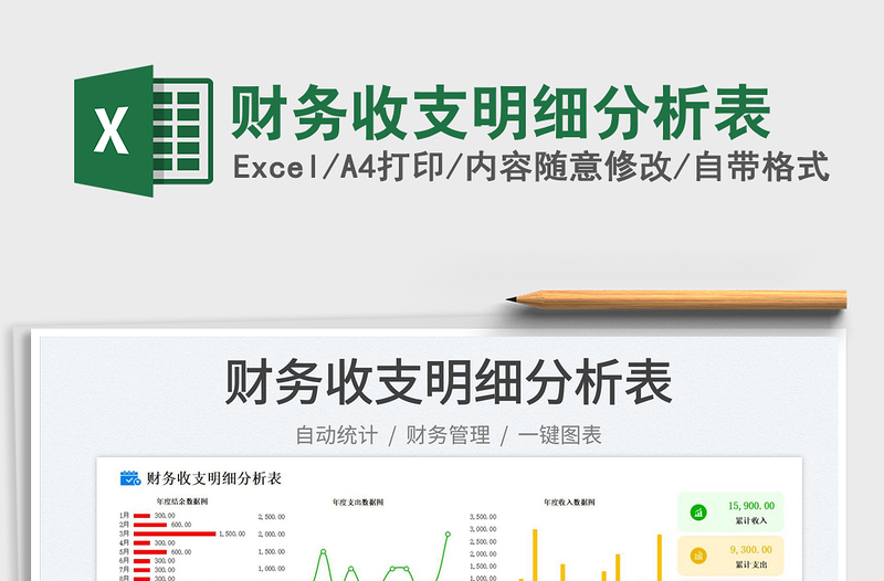 财务收支明细分析表