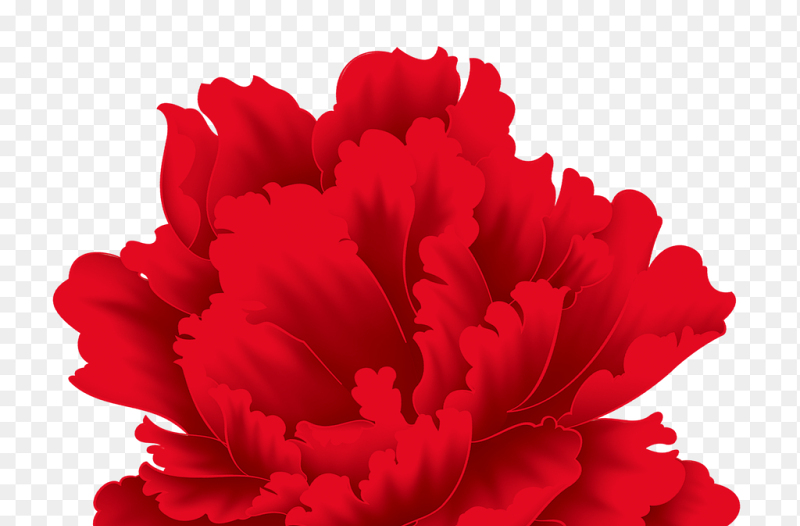 单只红色花朵免抠元素素材