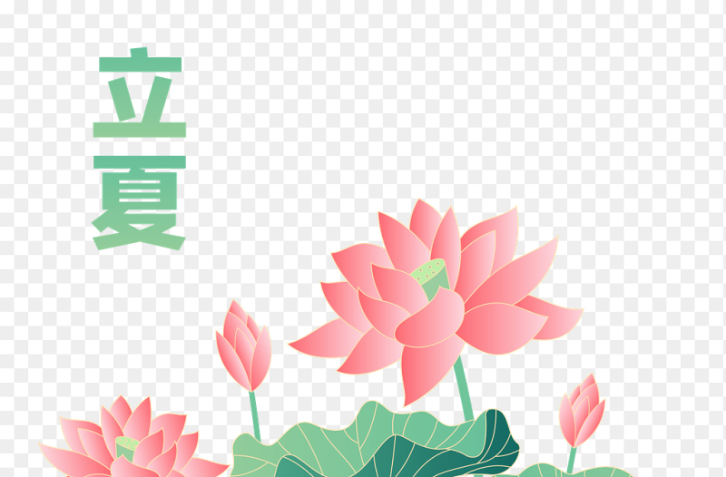 荷花荷叶立夏艺术字清新夏天夏季植物花朵中国传统二十四节气立夏时节主题素材免抠元素