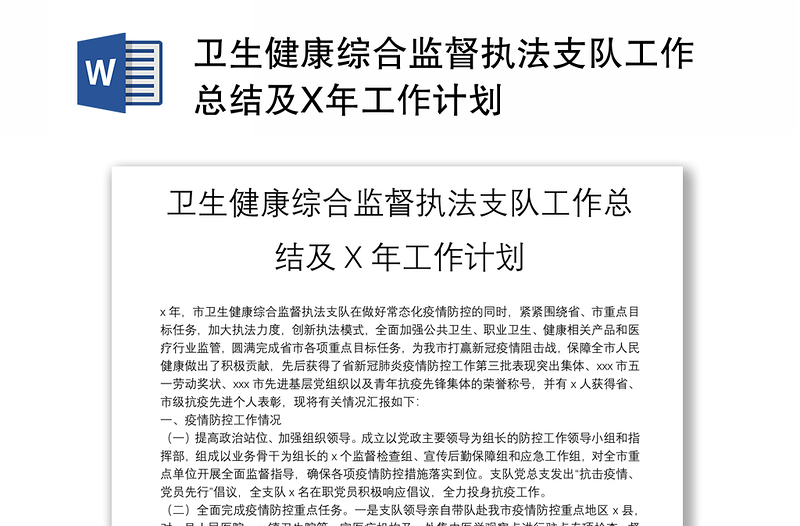 卫生健康综合监督执法支队工作总结及X年工作计划