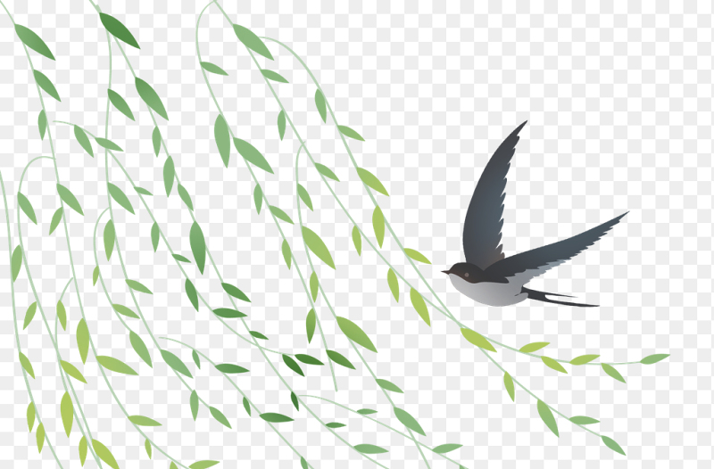 二十四节气春风春天春季柳树燕子卡通可爱免抠元素素材