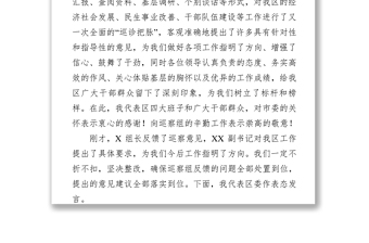 在巡察反馈会上的表态发言(区)