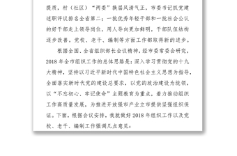 组织部部长在2018年全市党委系统工作会议上的讲话