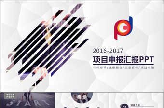 2017年项目申报汇报PPT