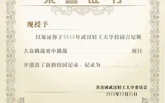 欧式花边校园吉尼斯比赛荣誉证书