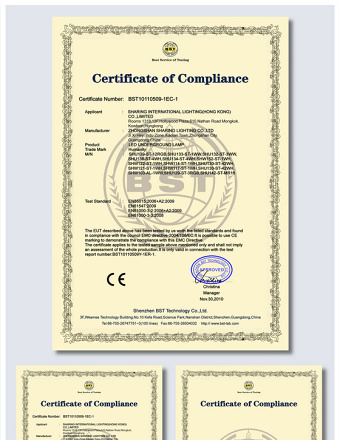 2021年原创BST认证CE证书