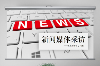 2022村支书在县人代会采访发言稿ppt