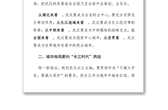 党会发言:陈一新在武汉政协大会的讲话