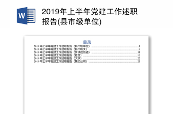 2019年上半年党建工作述职报告(县市级单位)