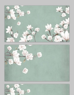 四张唯美艺术花卉幻灯片背景图片