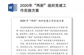 2020年“两新”组织党建工作实施方案