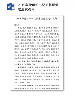 2019年党组织书记抓基层党建述职点评