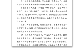 XX县审计局党组20XX年党建工作总结