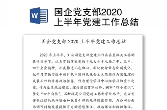 区纪委监委党支部2021年上半年年党建工作总结及下步年工作计划