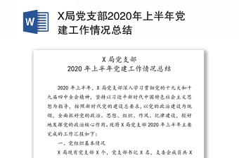 农村党支部2021年前半年工作情况及学党史情况