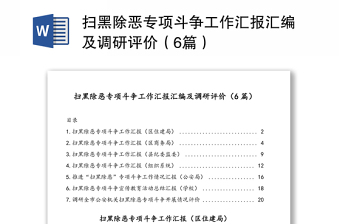 2022水务局扫黑除恶工作汇报