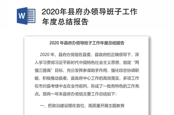 2021年度访惠聚工作队年度总结
