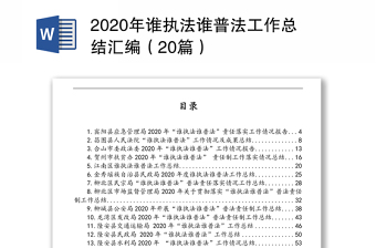 2020年谁执法谁普法工作总结汇编（20篇）
