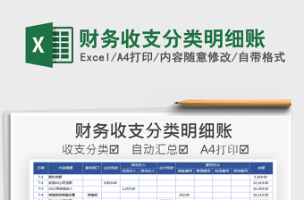 分类明细账用excel