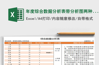 年度行业数据分析Excel模板 (2)