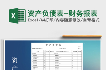 2021年资产负债表-财务报表
