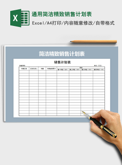 2021年通用简洁精致销售计划表