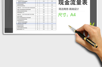 2021年财务报表之现金流量表（稳重简洁）