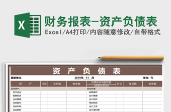 2021年财务报表-资产负债表