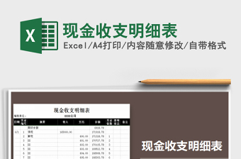 2022Excel自动化-现金收支明细表