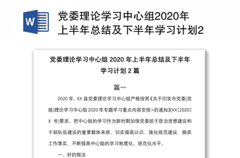 党委理论学习中心组2020年上半年总结及下半年学习计划2篇