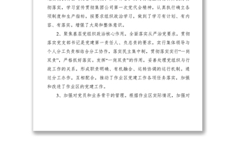 【述职报告】2019年抓基层党建工作述职报告2