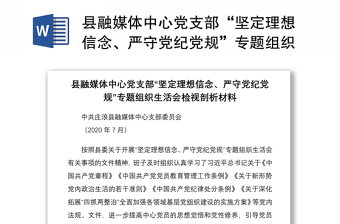 2021县融媒体中心党支部“坚定理想信念、严守党纪党规”专题组织生活会检视剖析材料