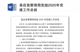 2022年应急局全年党建工作方案
