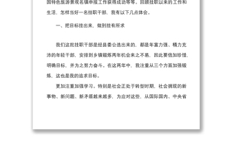 2021挂职干部个人工作总结局机关挂职干部到乡镇挂职锻炼工作汇报范文工作总结报告