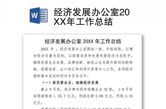 2021经济发展办公室20XX年工作总结