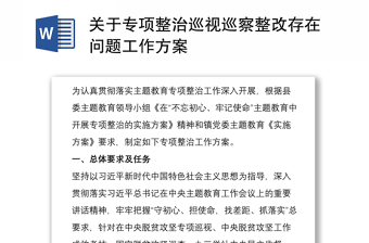 关于专项整治巡视巡察整改存在问题工作方案