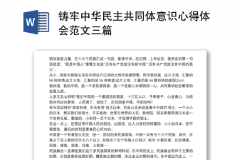 2022培育中华民族共同体意识幼儿园相关教育实践内容报告