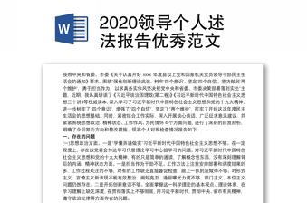 2022述法报告领导个人