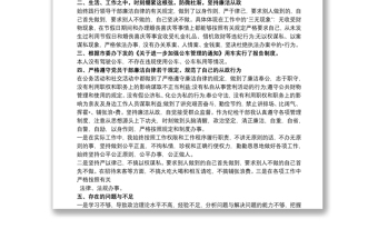 个人廉洁自律简评汇报两篇