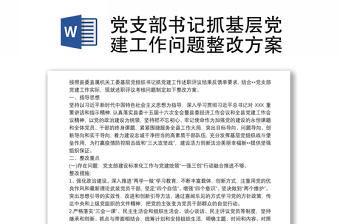 党支部工作整改方案2022