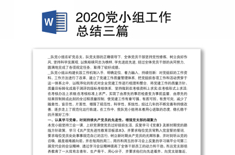 2022党小组组长总结