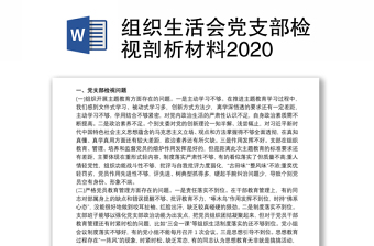 对照党史学习党支部检视剖析材料2021