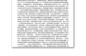 巡察组20xx年巡察报告