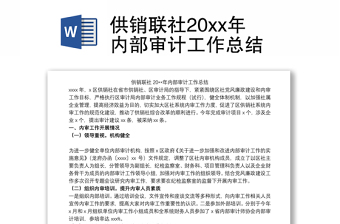 供销联社20xx年内部审计工作总结