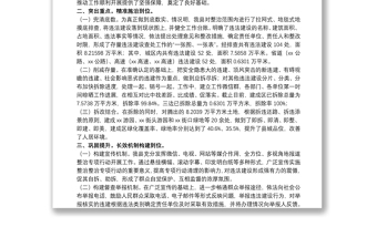 关于20xx年整治违法建设专项行动的工作报告范文